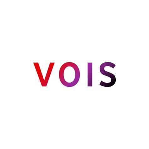 VOIS Logo